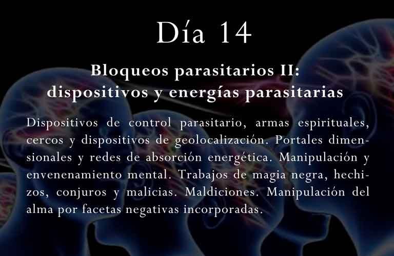 Dispositivos de control parasitario, armas espirituales, cercos y dispositivos de geolocalización. Portales dimensionales y redes de absorción energética. Manipulación y envenenamiento mental. Trabajos de magia negra, hechizos, conjuros y malicias. Maldiciones. Manipulación del alma por facetas negativas incorporadas.