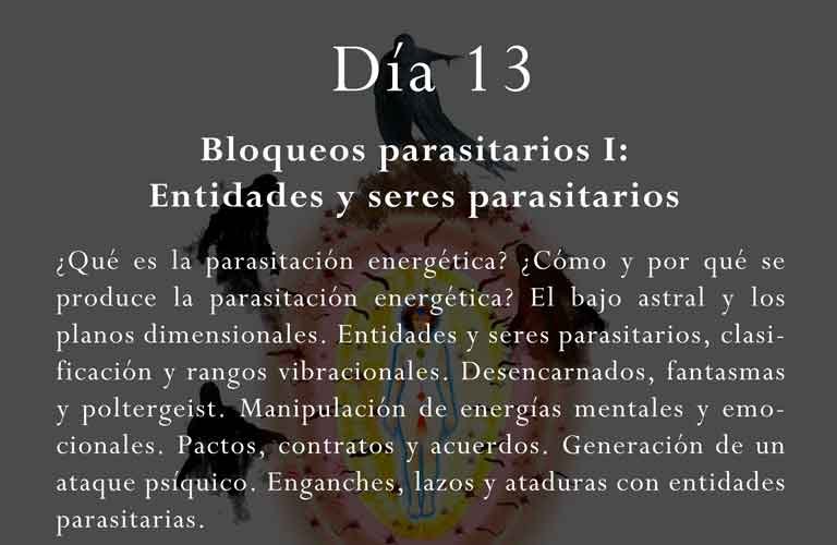 ¿Qué es la parasitación energética? ¿Cómo y por qué se produce la parasitación energética? El bajo astral y los planos dimensionales. Entidades y seres parasitarios, clasificación y rangos vibracionales. Desencarnados, fantasmas y poltergeist. Manipulación de energías mentales y emocionales. Pactos, contratos y acuerdos. Generación de un ataque psíquico. Enganches, lazos y ataduras con entidades parasitarias.