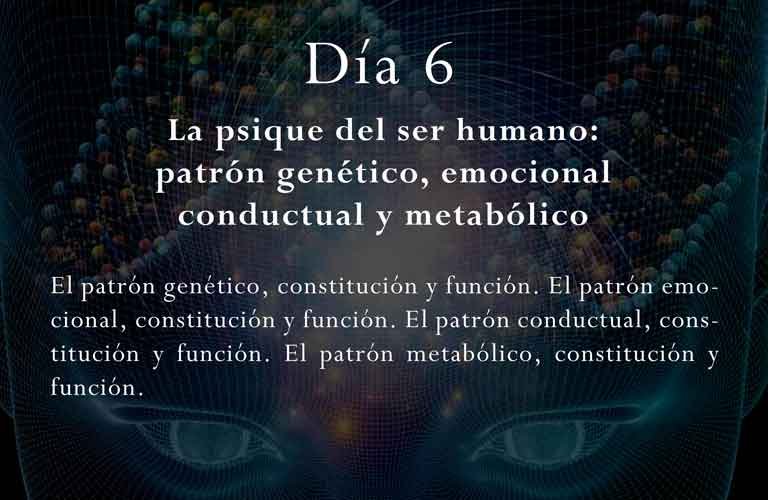 El patrón genético, constitución y función. El patrón emocional, constitución y función. El patrón conductual, constitución y función. El patrón metabólico, constitución y función.