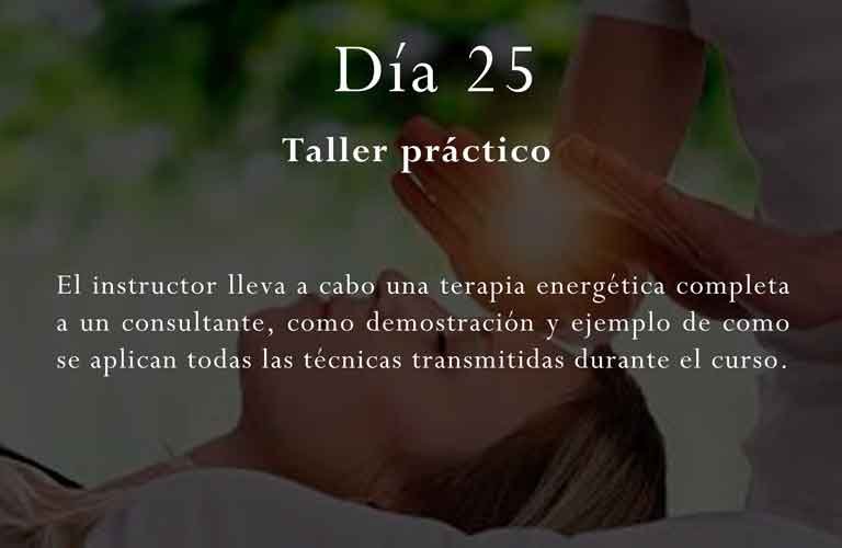 El instructor lleva a cabo una terapia energética completa a un consultante, como demostración y ejemplo de como se aplican todas las técnicas transmitidas durante el curso.